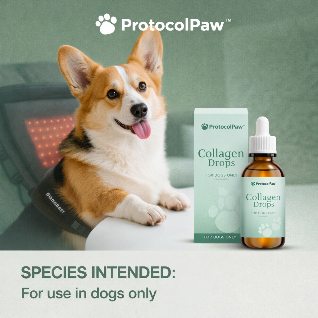 Dog Collagen Drops