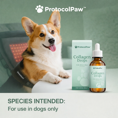 Dog Collagen Drops
